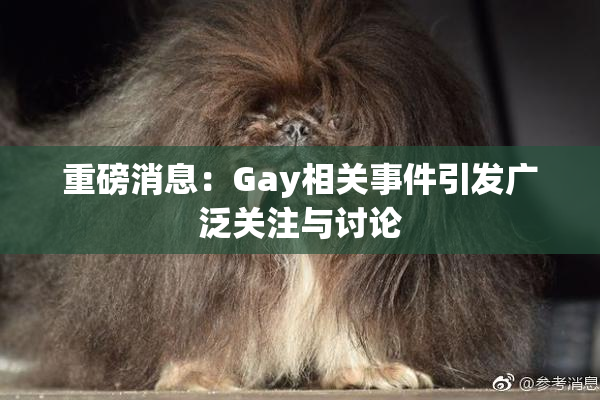 重磅消息：Gay相关事件引发广泛关注与讨论