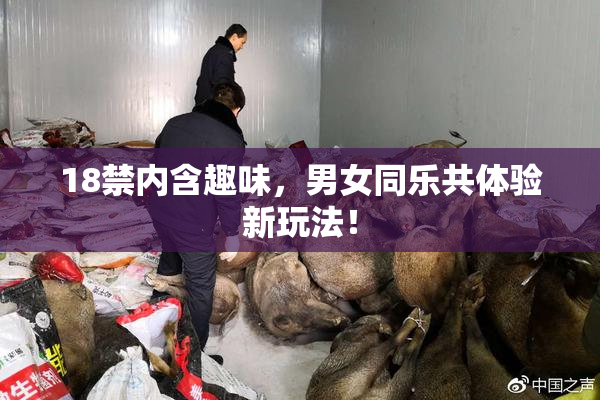 18禁内含趣味，男女同乐共体验新玩法！
