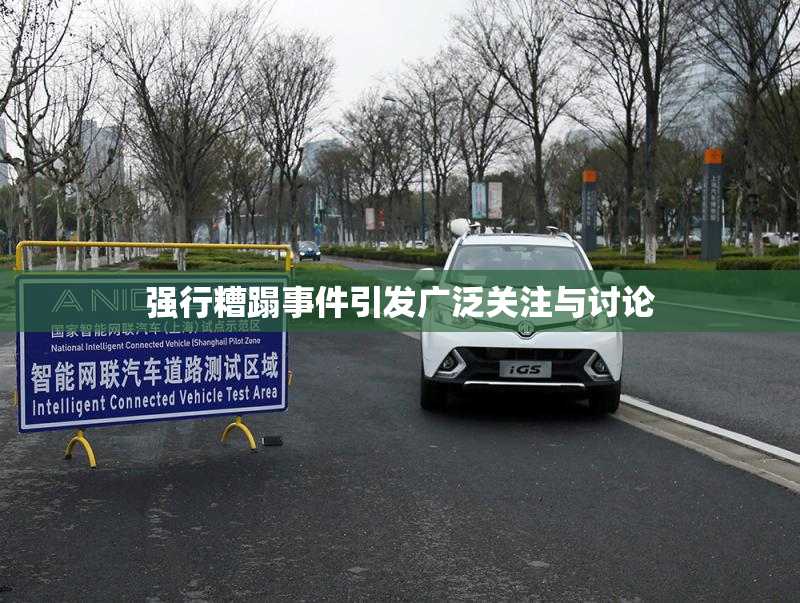 强行糟蹋事件引发广泛关注与讨论