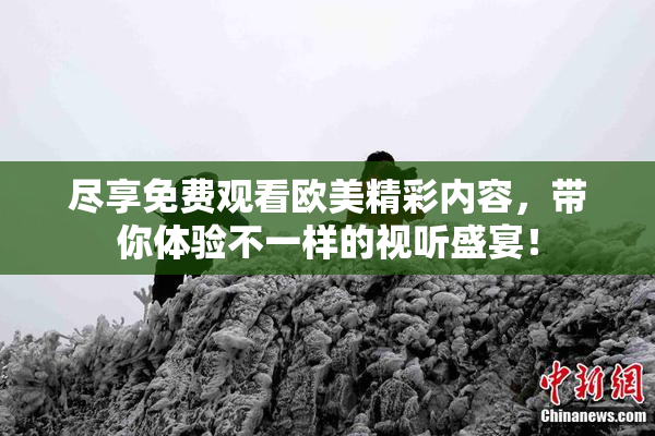 尽享免费观看欧美精彩内容，带你体验不一样的视听盛宴！