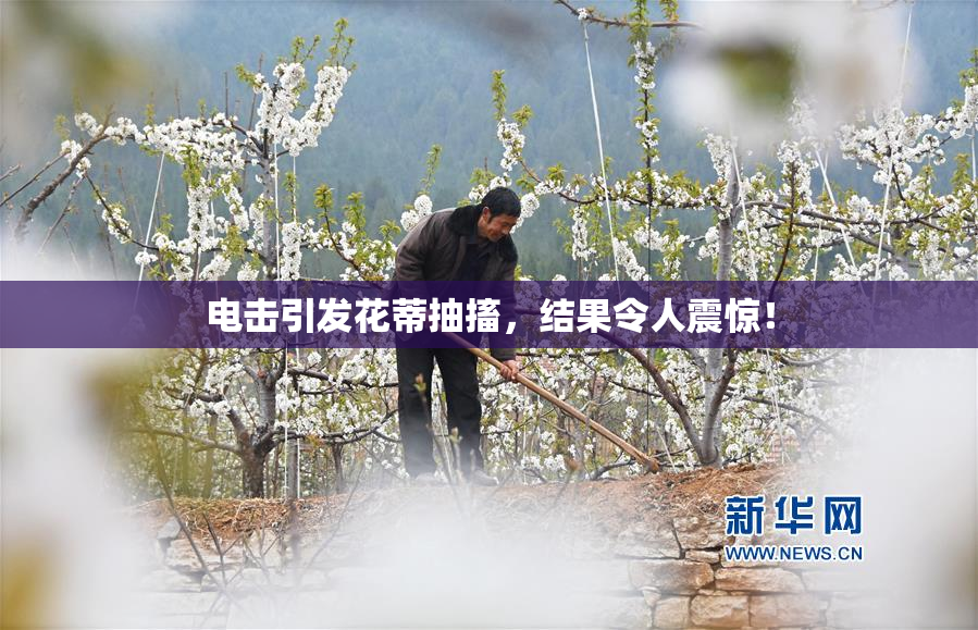 电击引发花蒂抽搐，结果令人震惊！
