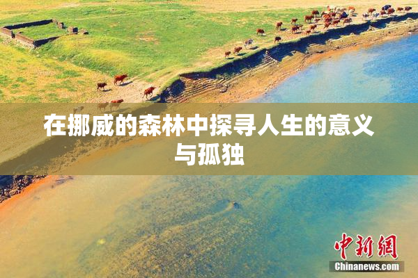 在挪威的森林中探寻人生的意义与孤独