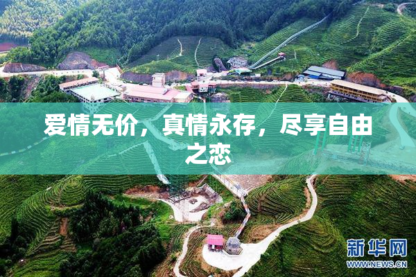 爱情无价，真情永存，尽享自由之恋