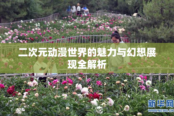 二次元动漫世界的魅力与幻想展现全解析
