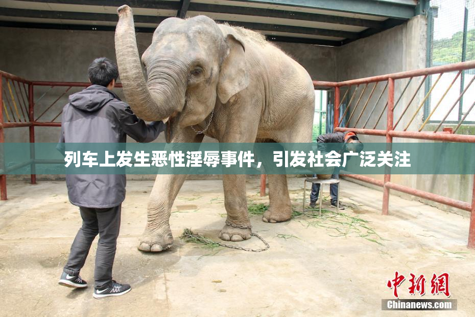 列车上发生恶性淫辱事件，引发社会广泛关注