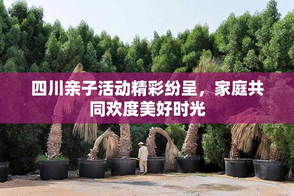 四川亲子活动精彩纷呈，家庭共同欢度美好时光