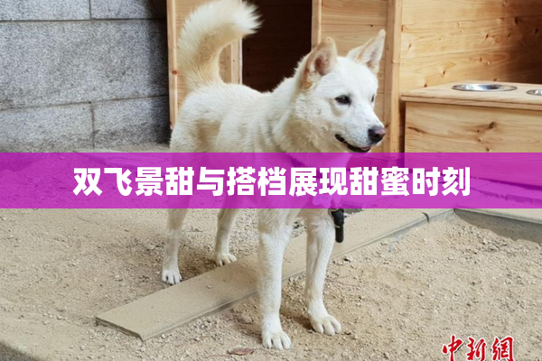 双飞景甜与搭档展现甜蜜时刻