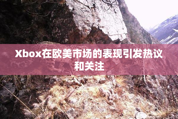 Xbox在欧美市场的表现引发热议和关注