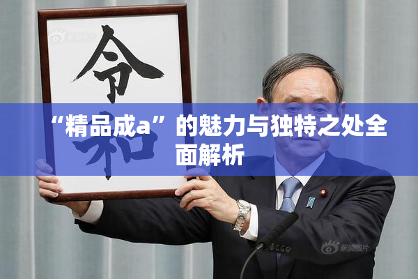 “精品成a”的魅力与独特之处全面解析