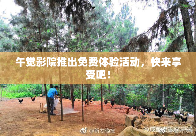 午觉影院推出免费体验活动，快来享受吧！