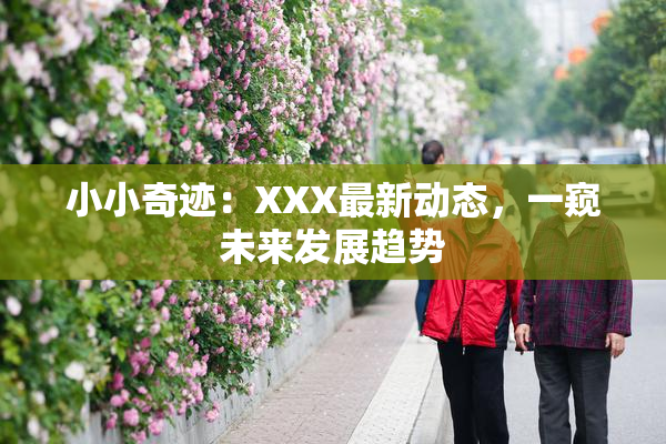 小小奇迹：XXX最新动态，一窥未来发展趋势