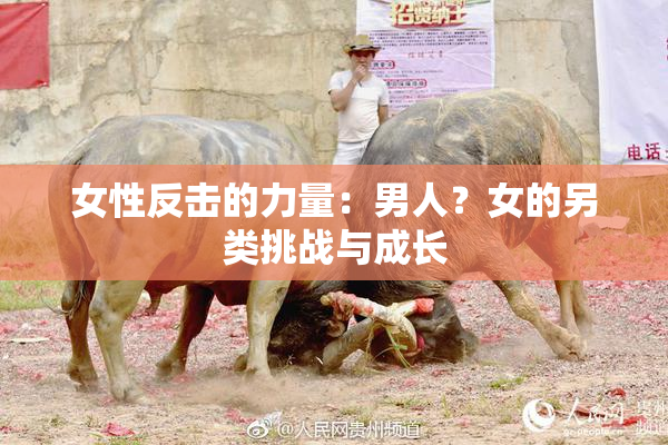 女性反击的力量：男人？女的另类挑战与成长