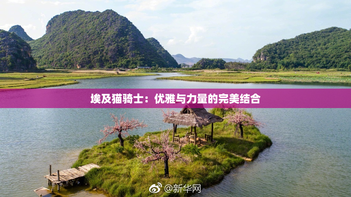 埃及猫骑士：优雅与力量的完美结合