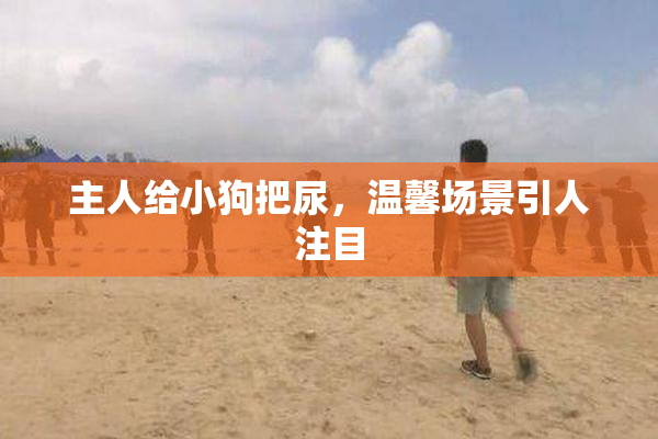 主人给小狗把尿，温馨场景引人注目