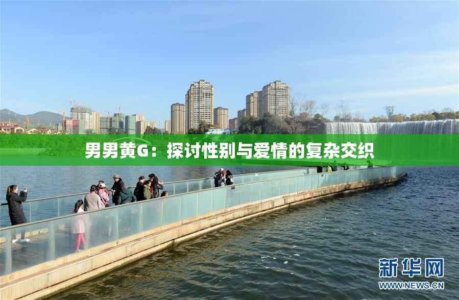 男男黄G：探讨性别与爱情的复杂交织