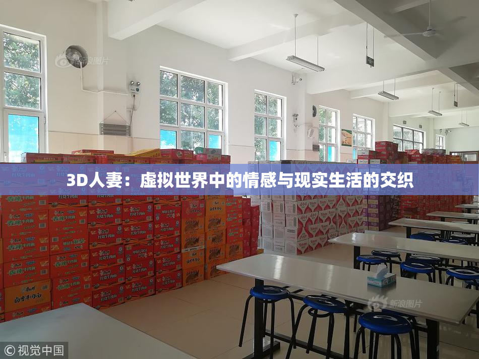 3D人妻：虚拟世界中的情感与现实生活的交织