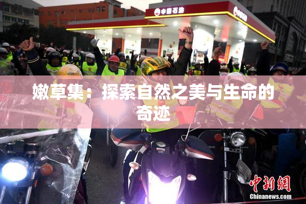 嫩草集：探索自然之美与生命的奇迹
