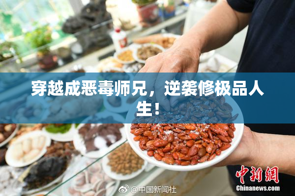 穿越成恶毒师兄，逆袭修极品人生！