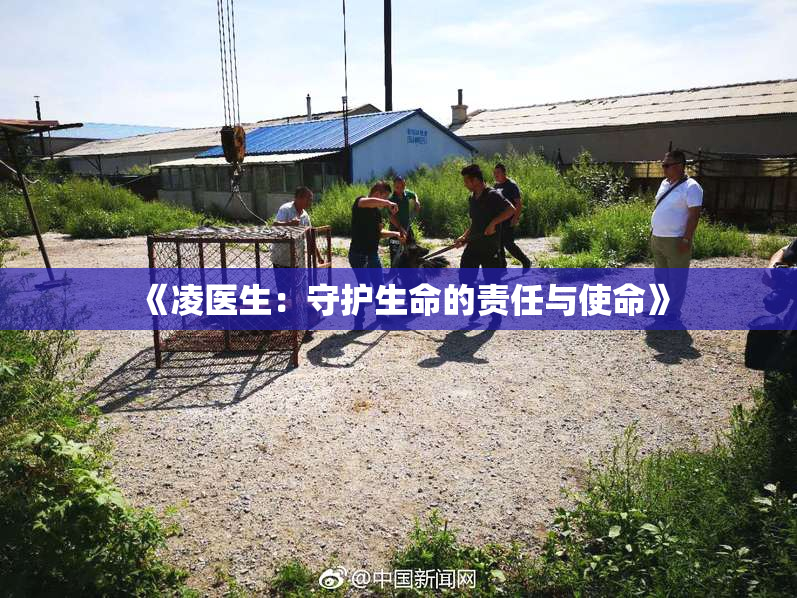 《凌医生：守护生命的责任与使命》