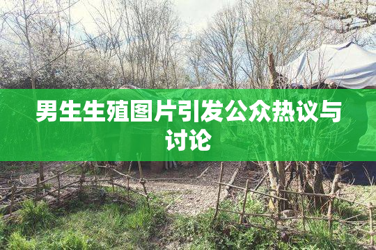 男生生殖图片引发公众热议与讨论