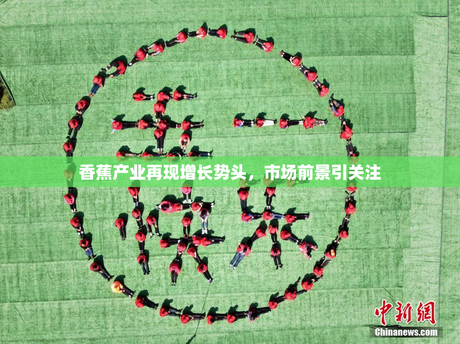 香蕉产业再现增长势头，市场前景引关注