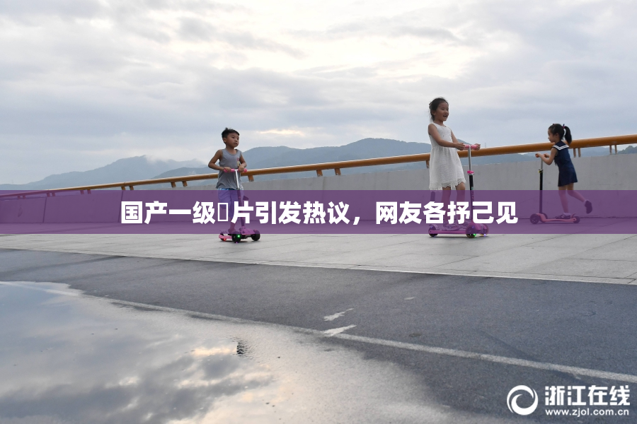 国产一级婬片引发热议，网友各抒己见