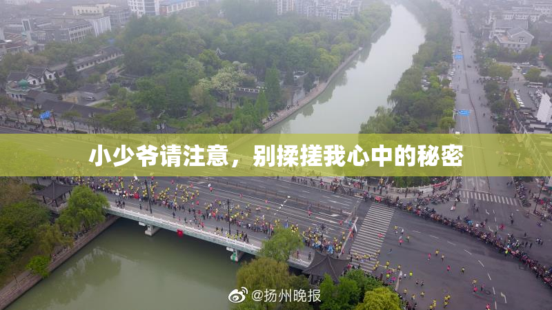 小少爷请注意，别揉搓我心中的秘密