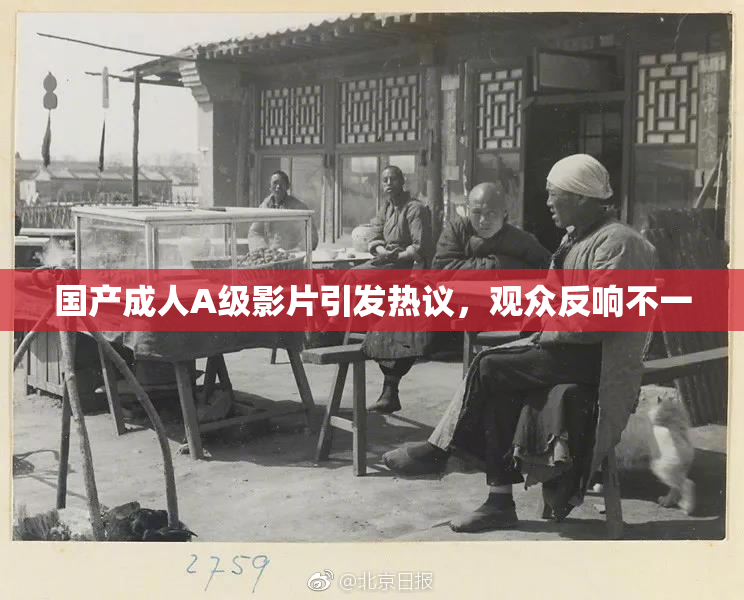国产成人A级影片引发热议，观众反响不一