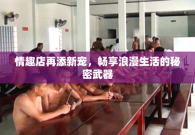情趣店再添新宠，畅享浪漫生活的秘密武器
