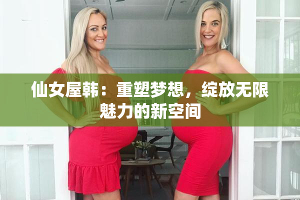 仙女屋韩：重塑梦想，绽放无限魅力的新空间