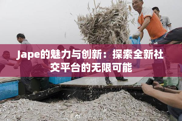 Jape的魅力与创新：探索全新社交平台的无限可能