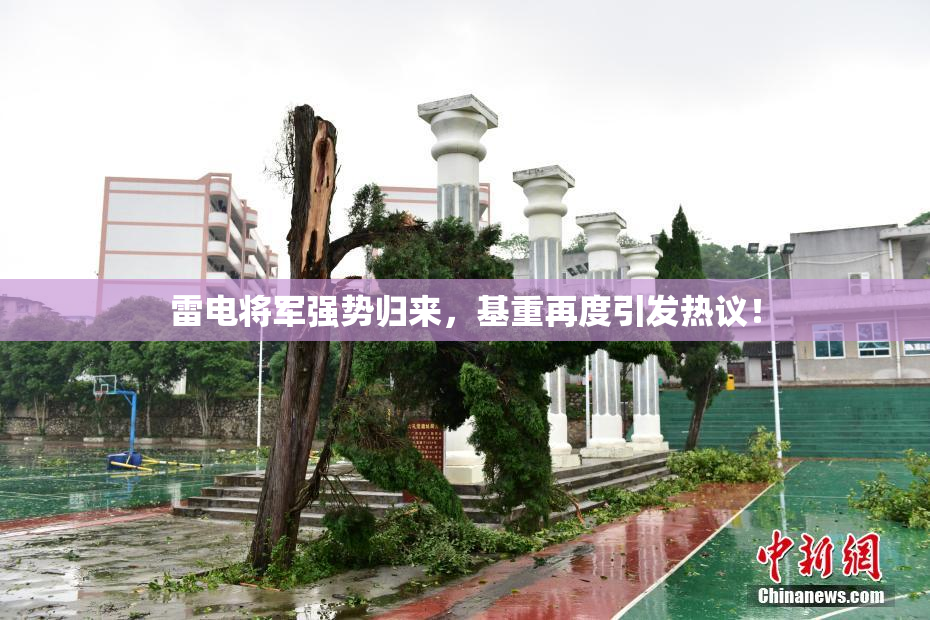 雷电将军强势归来，基重再度引发热议！