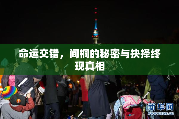 命运交错，间桐的秘密与抉择终现真相