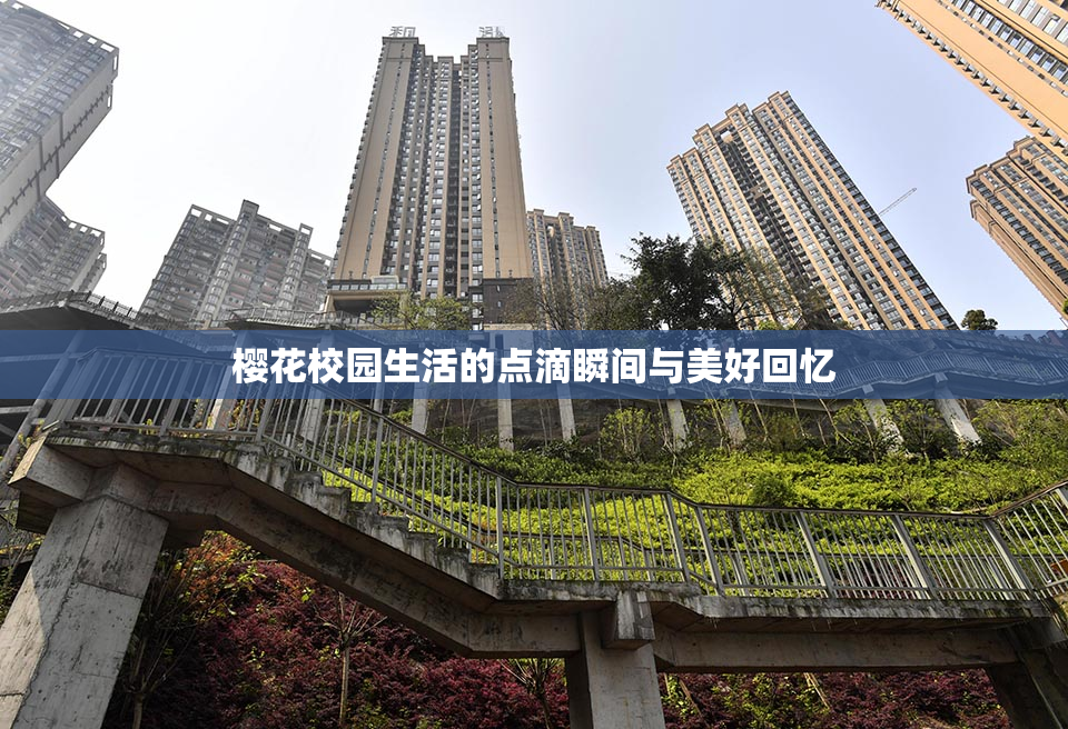 樱花校园生活的点滴瞬间与美好回忆