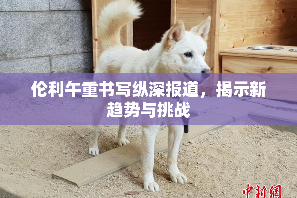 伦利午重书写纵深报道，揭示新趋势与挑战