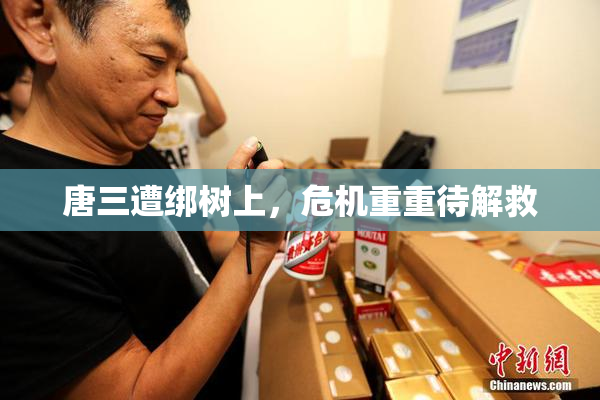 唐三遭绑树上，危机重重待解救