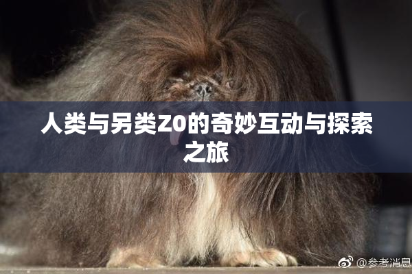 人类与另类Z0的奇妙互动与探索之旅