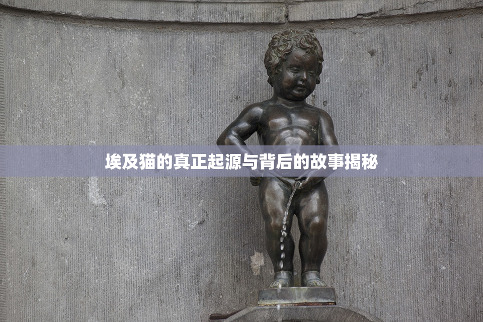 埃及猫的真正起源与背后的故事揭秘
