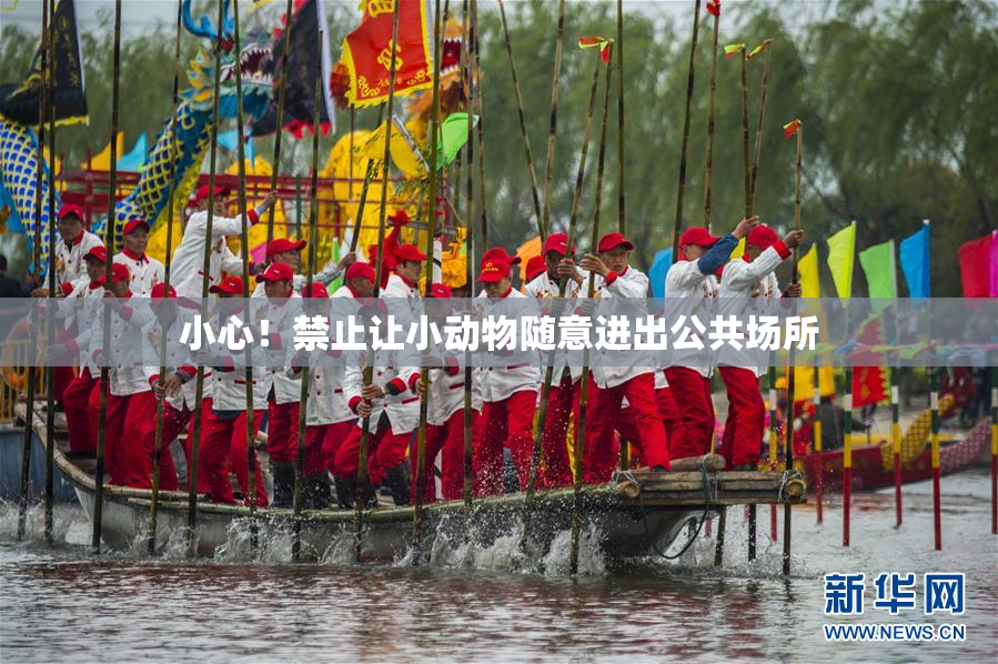 小心！禁止让小动物随意进出公共场所