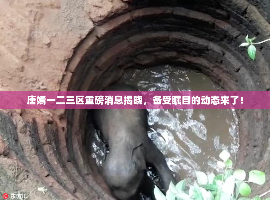 唐嫣一二三区重磅消息揭晓，备受瞩目的动态来了！