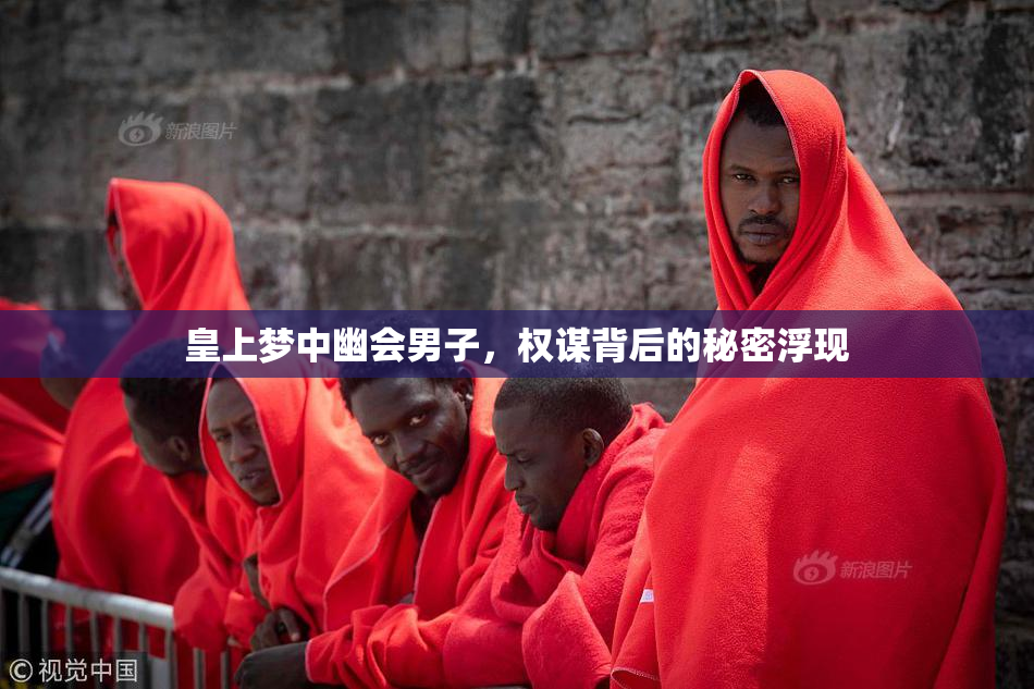 皇上梦中幽会男子，权谋背后的秘密浮现