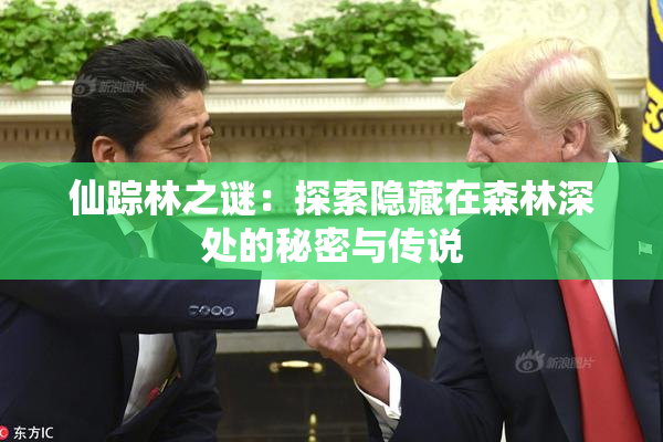 仙踪林之谜：探索隐藏在森林深处的秘密与传说