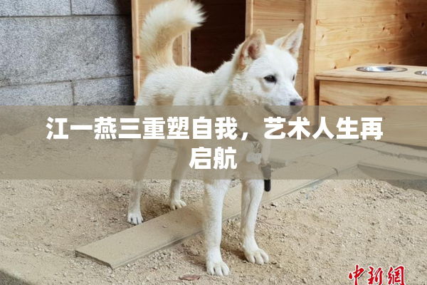 江一燕三重塑自我，艺术人生再启航