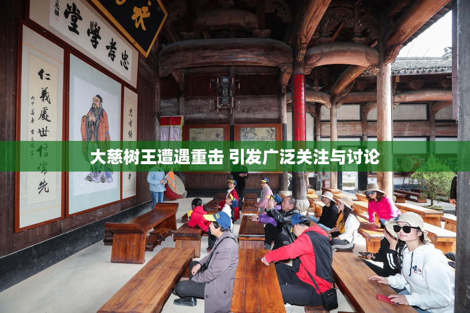 大慈树王遭遇重击 引发广泛关注与讨论