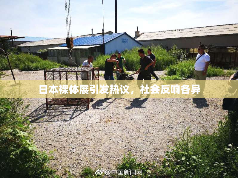 日本裸体展引发热议，社会反响各异