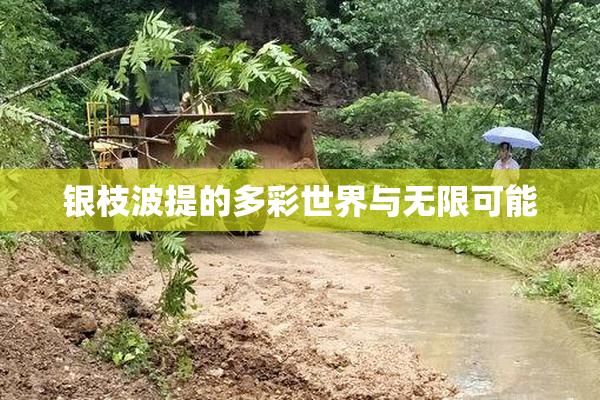 银枝波提的多彩世界与无限可能