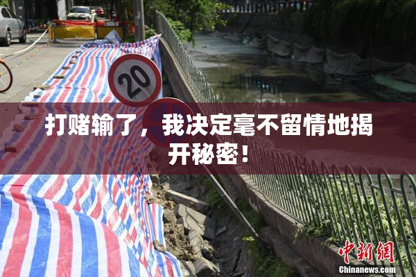 打赌输了，我决定毫不留情地揭开秘密！