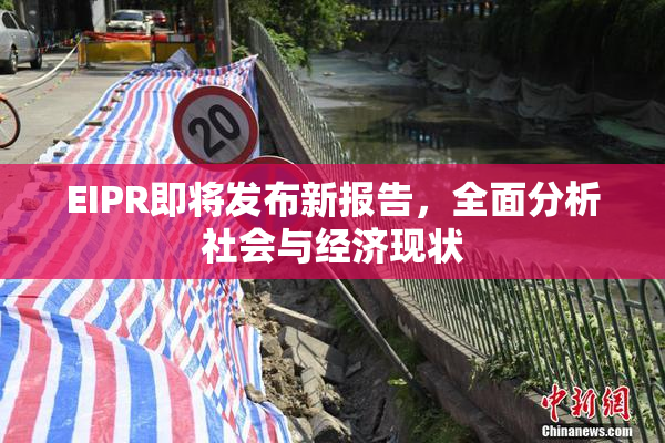 EIPR即将发布新报告，全面分析社会与经济现状