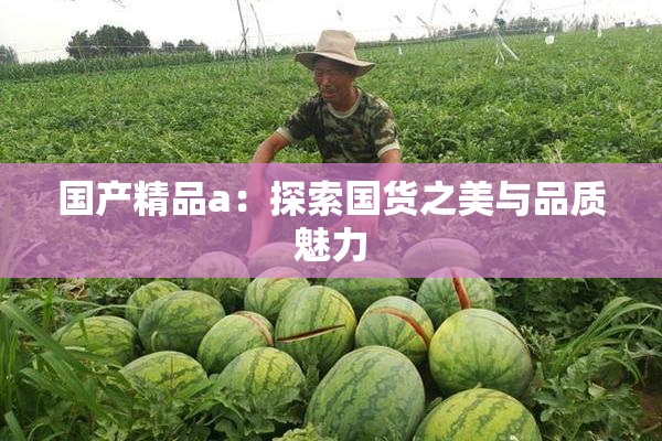 国产精品a：探索国货之美与品质魅力