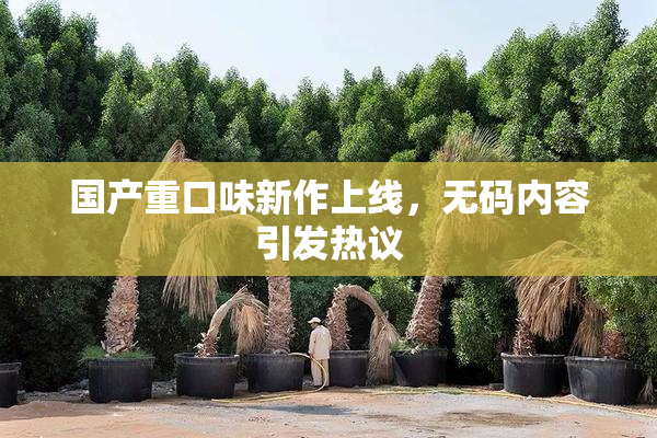 国产重口味新作上线，无码内容引发热议